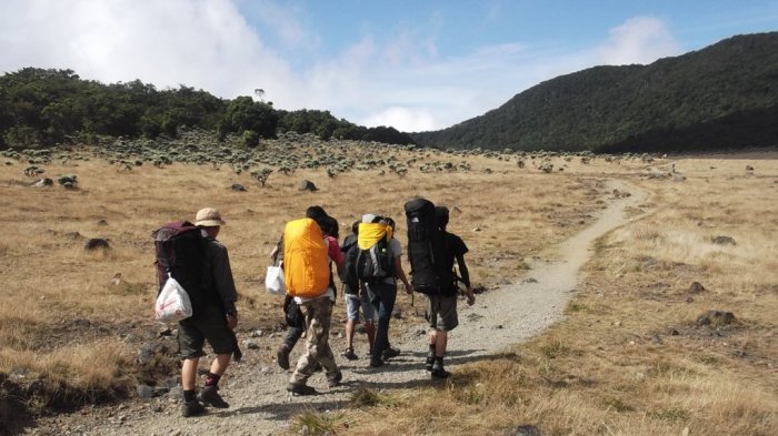 celana cargo pendek naik gunung